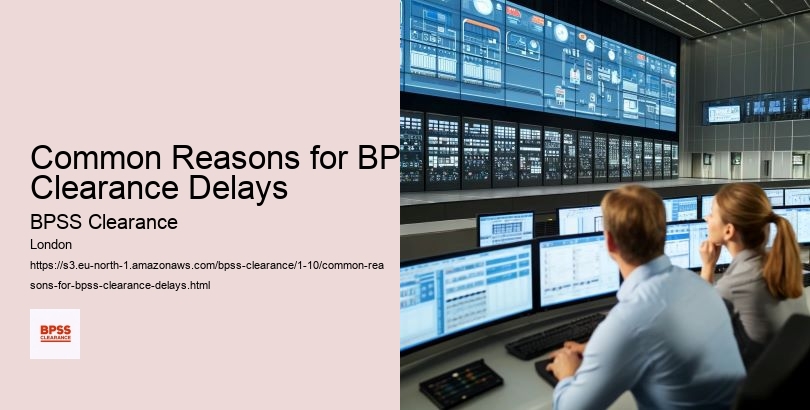Common Reasons for BPSS Clearance Delays