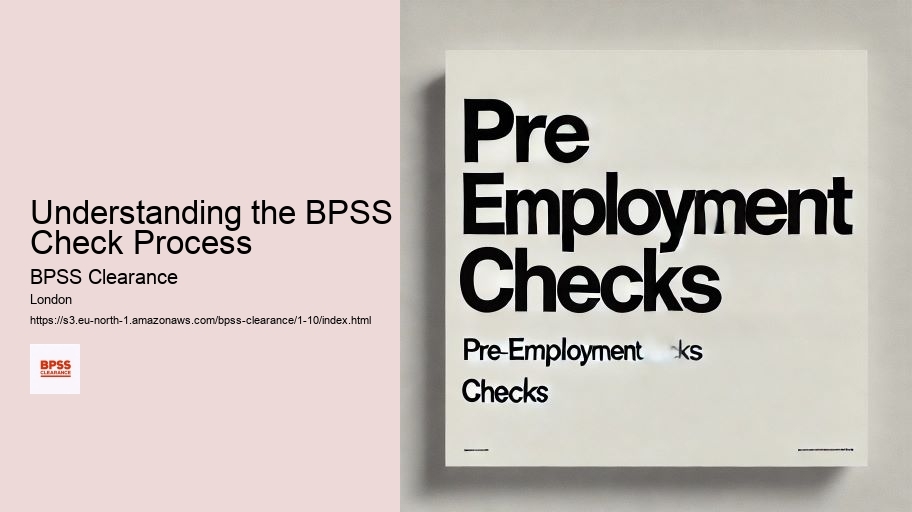 Understanding the BPSS Check Process