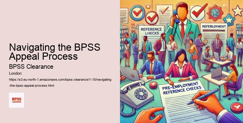 Navigating the BPSS Appeal Process