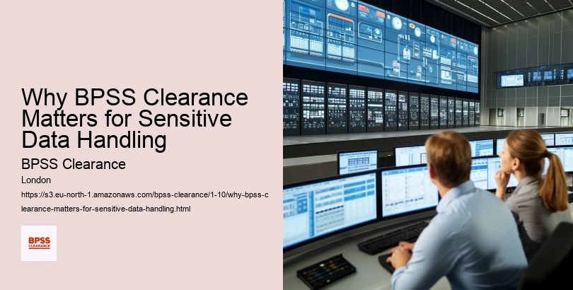 Why BPSS Clearance Matters for Sensitive Data Handling