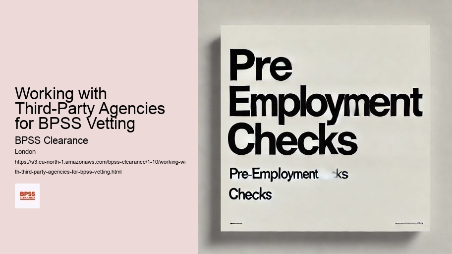 Working with Third-Party Agencies for BPSS Vetting