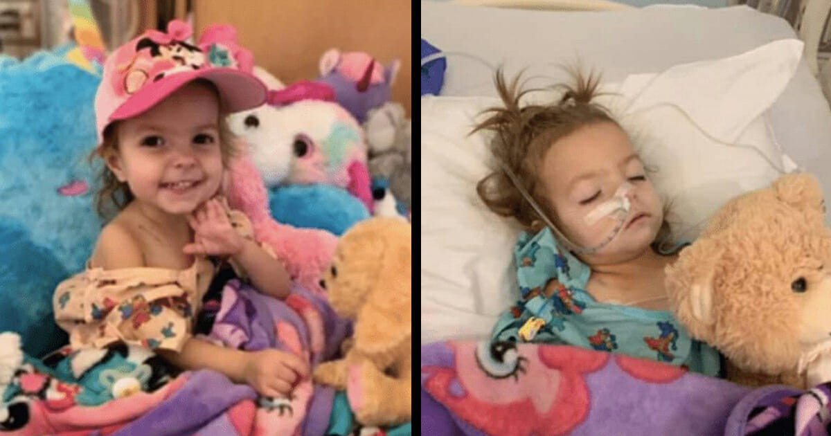 McKenna Shea Xydias Read up on all the latest about McKenna Shea Xydias on Newsner