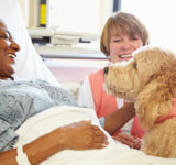 pet therapy-cancer patients-support-patient-wellbeing