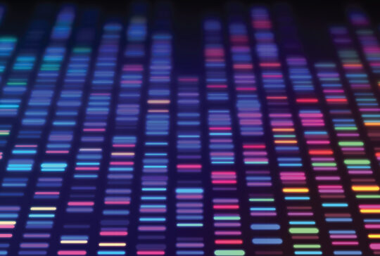 rare disease-advocacy-next gen-non profit
