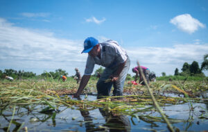 community-resilience-disaster-preparedness-caterpillar-foundation