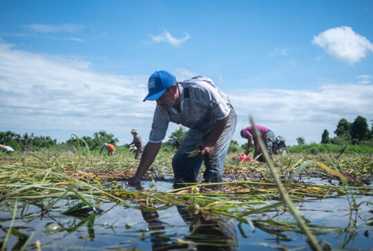 community-resilience-disaster-preparedness-caterpillar-foundation