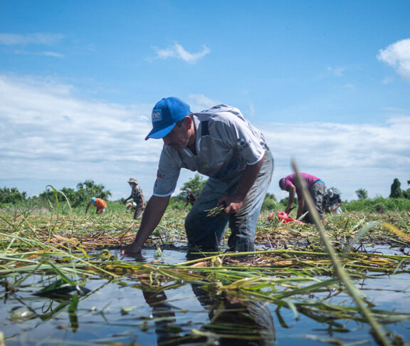 community-resilience-disaster-preparedness-caterpillar-foundation
