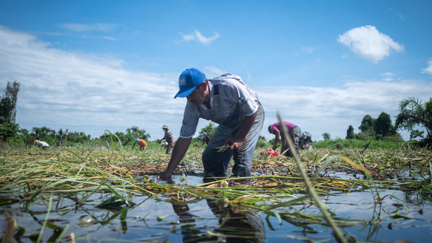 community-resilience-disaster-preparedness-caterpillar-foundation