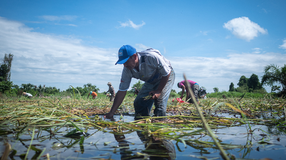community-resilience-disaster-preparedness-caterpillar-foundation