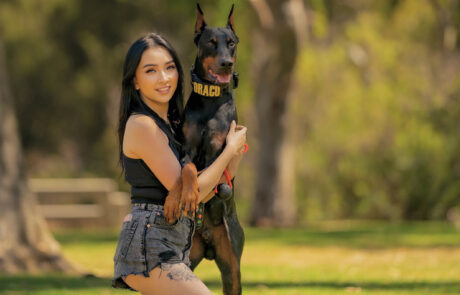 vet-wulf snacks-tiktok-doberman