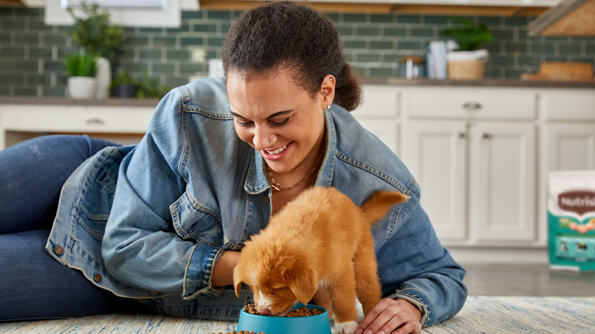 clarity-consumer-pet-food-dog-nutrish