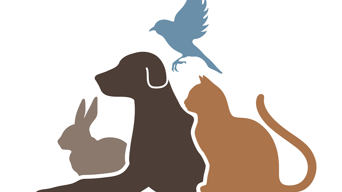pet-owner-tweezerman-air dried food-cat-supplements-dog