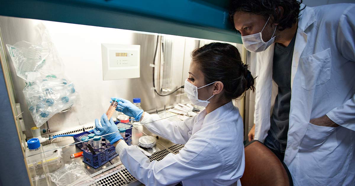 Two scientists performing an experiment