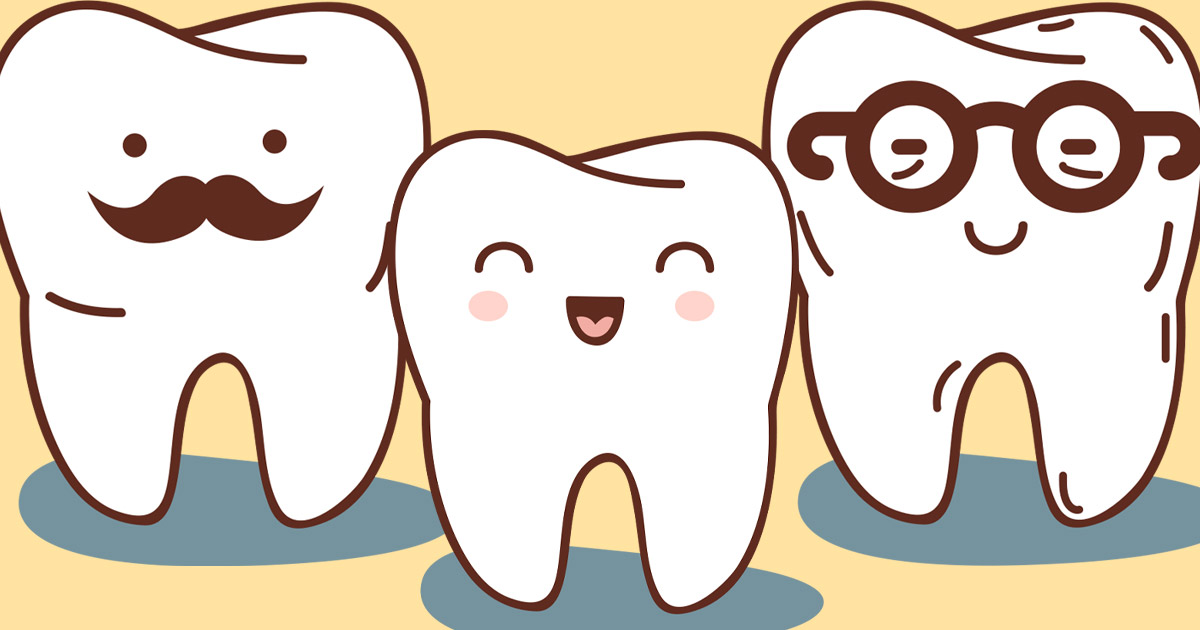 Illustrations of three teeth