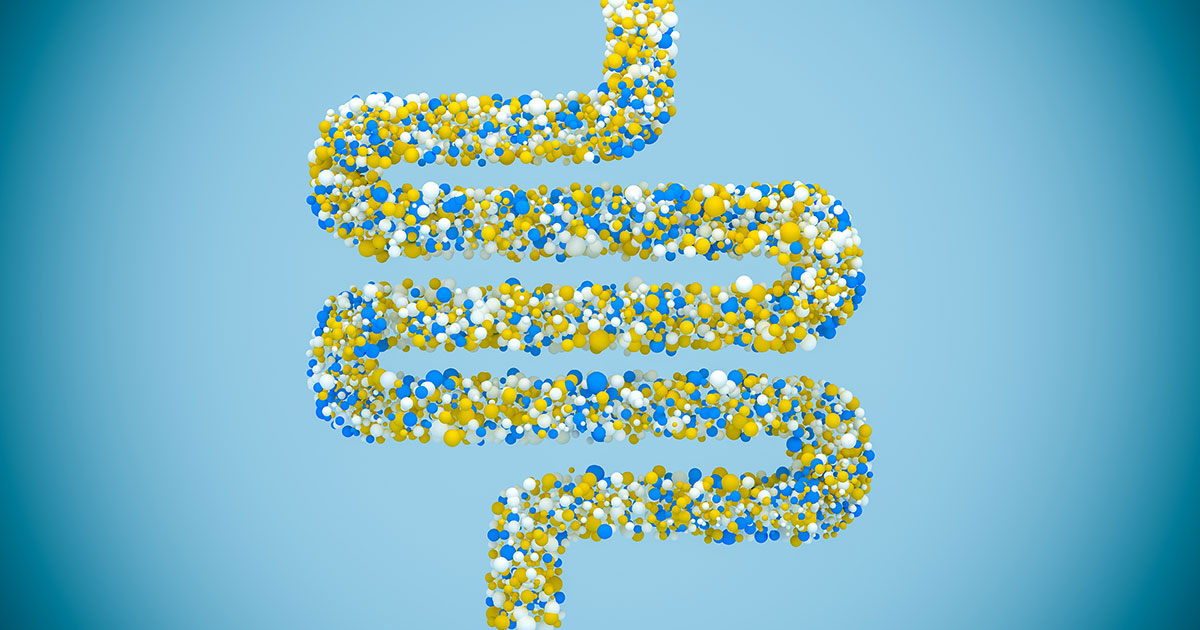 Illustration of human bowels