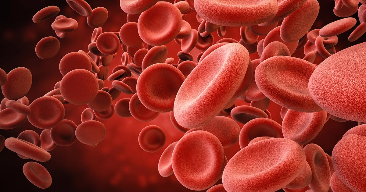 Blood clot header