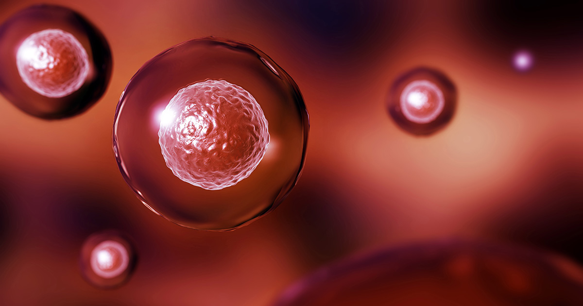 Blood cell render