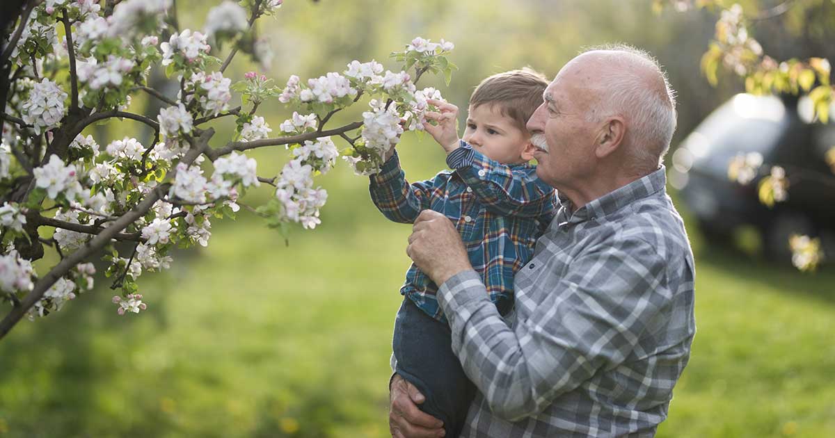 Grandfather showing his grandson a blooming tree