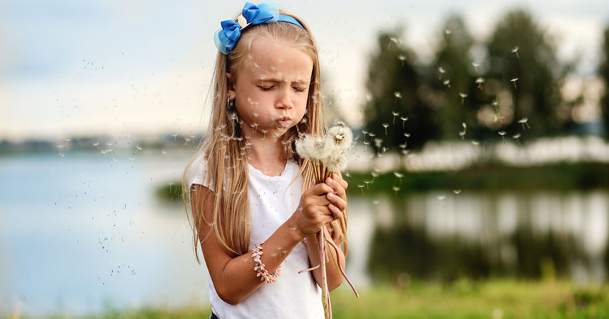 Child blowing dandelion fluff