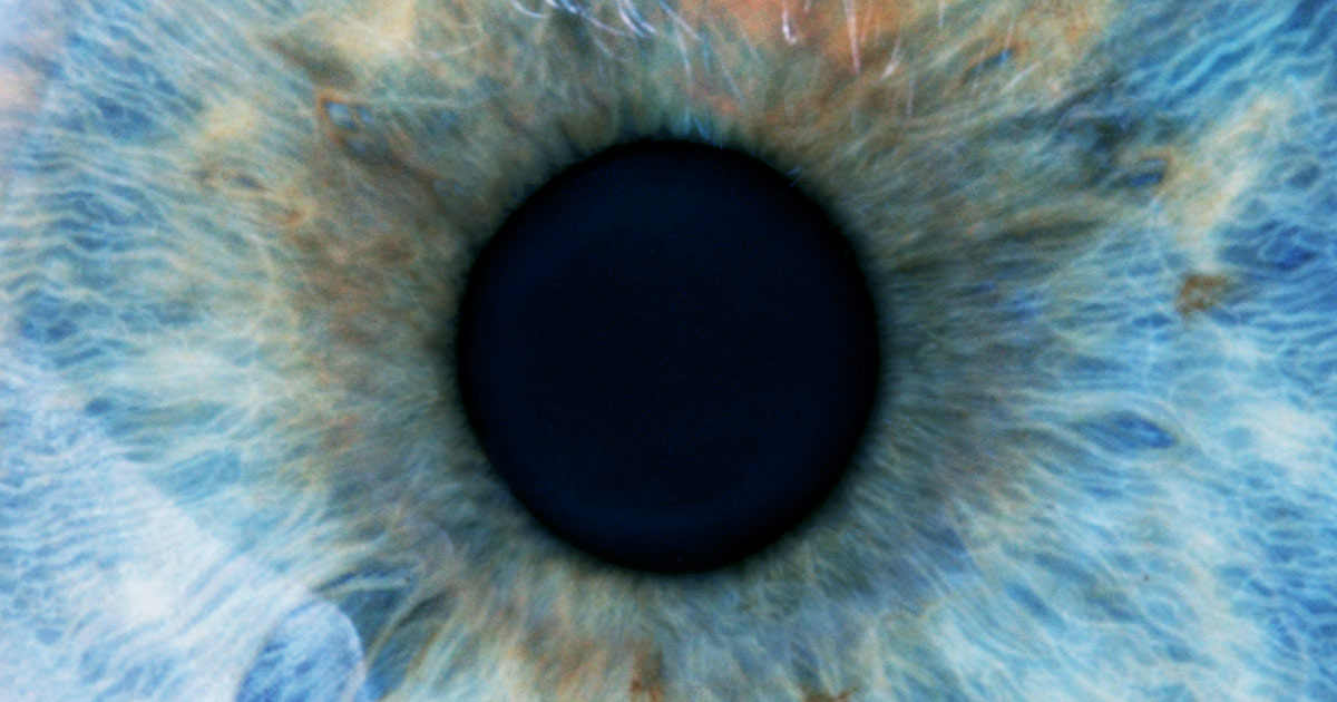 Close-up photograph of the iris and pupil of a human eyeball