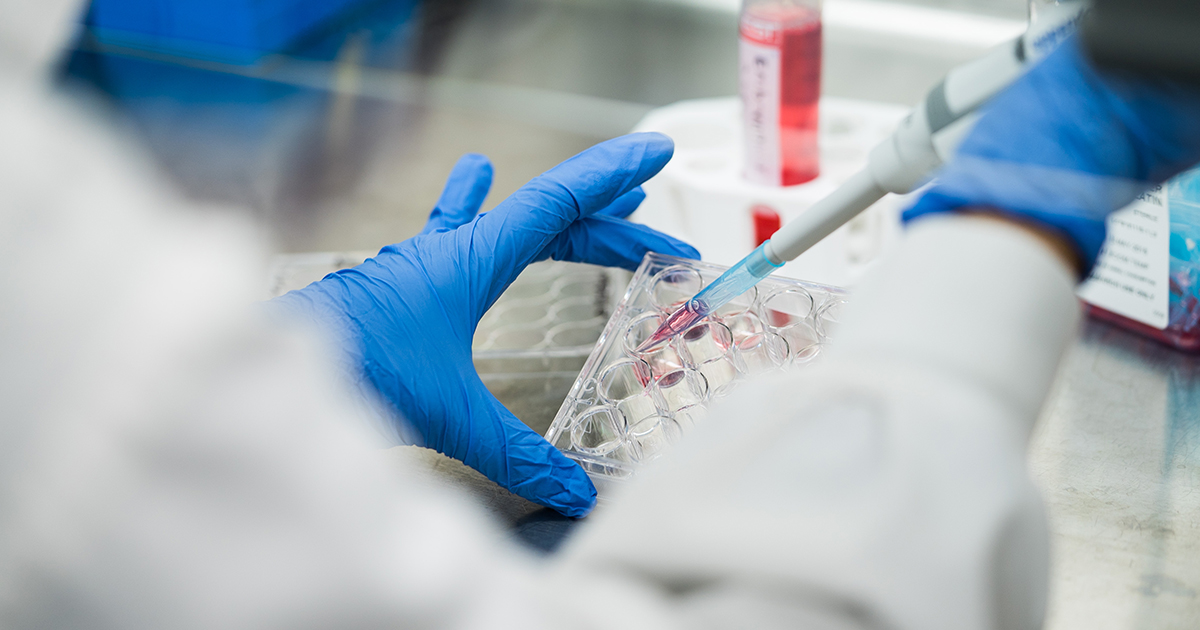 A pathologist working in a lab