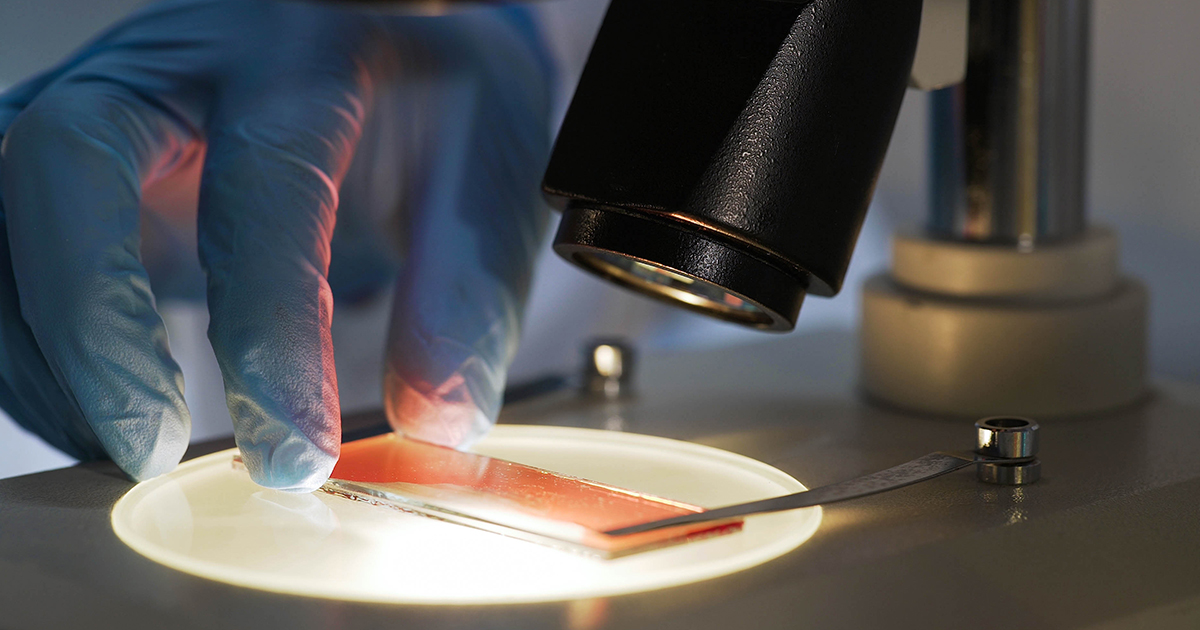 Medical scientist studying blood sample