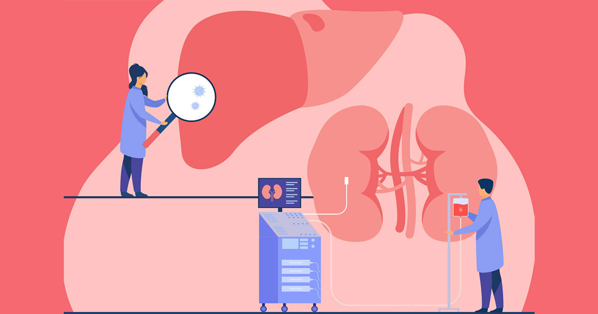 liverkidney_health_researchers