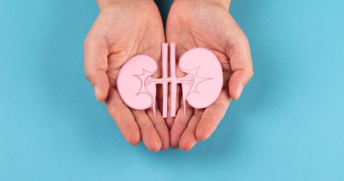 kidney in hand