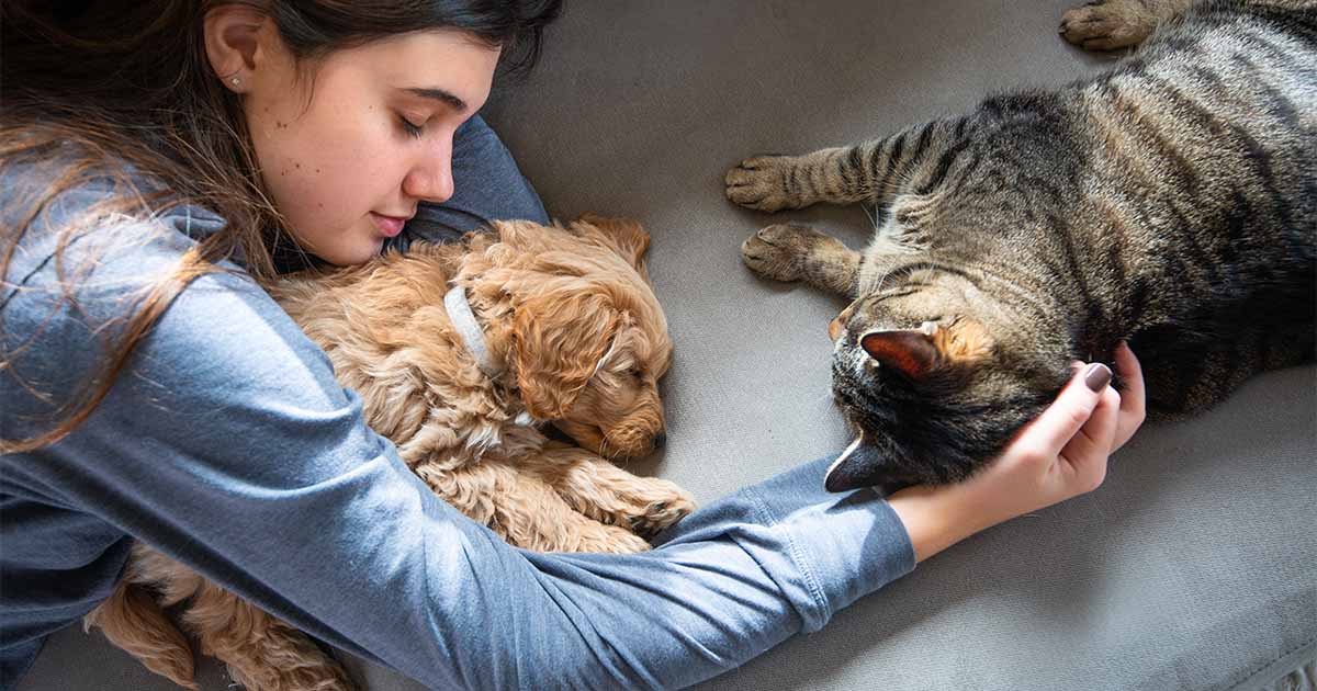 young woman laying beside pets