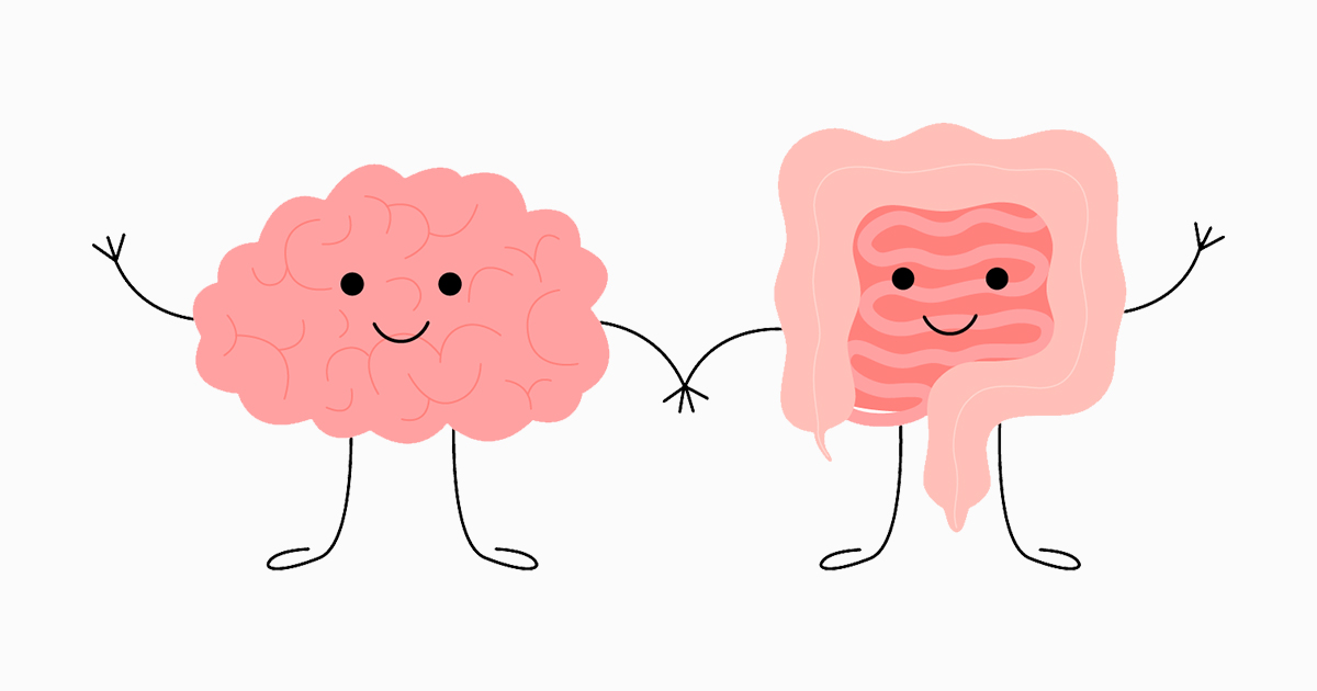 brain gut graphic