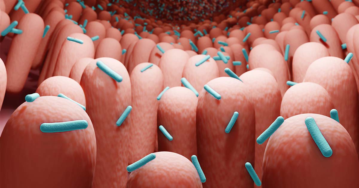 probiotics scientific illustration