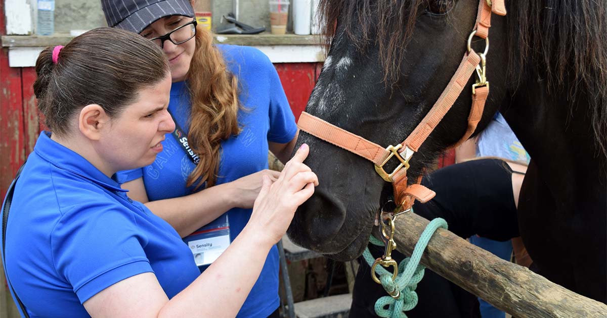 child with disability touching horse