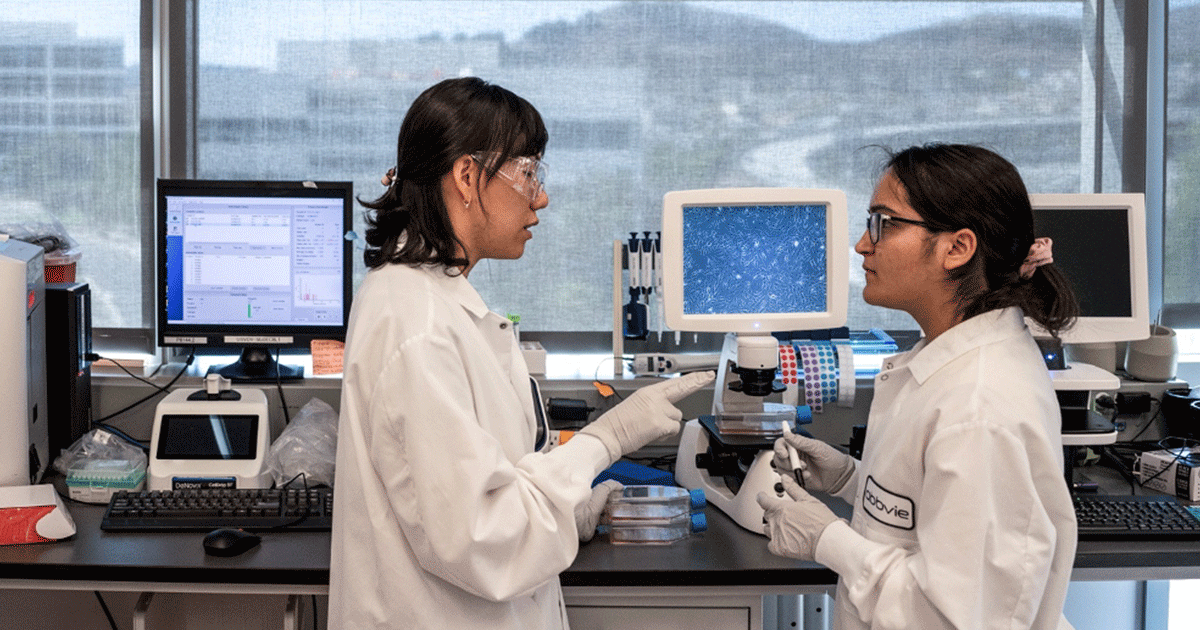 AbbVie researchers conversing