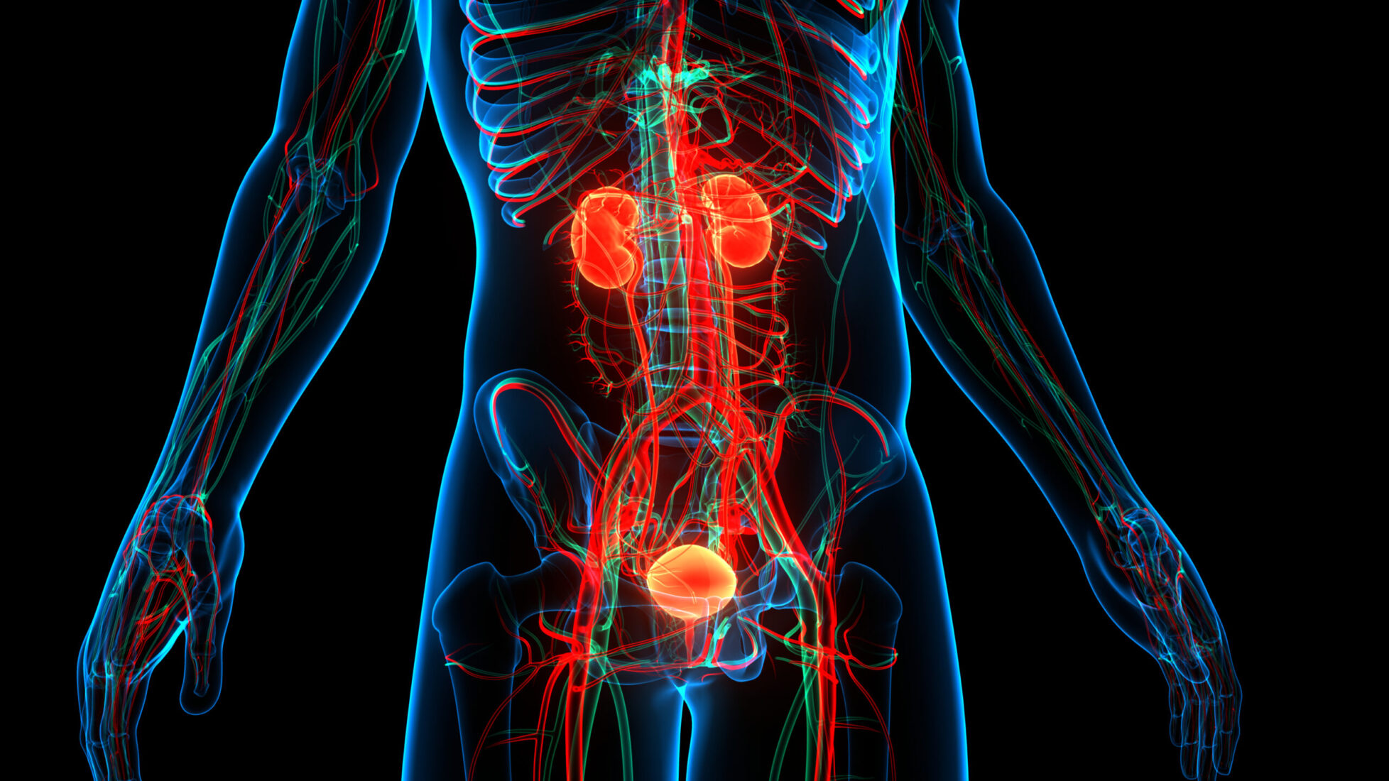 Why a Bladder Cancer Diagnosis Shouldn’t Define A Patient’s Future