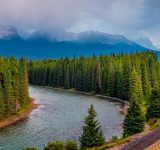 Train and forests in Alberta