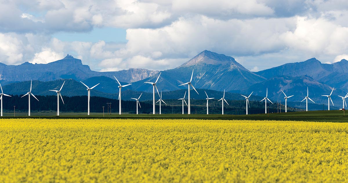 Canola field, wind farm, and mountains