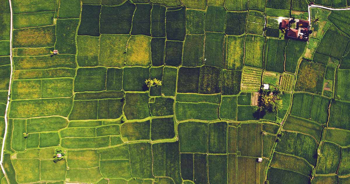 Agricultural Innovation header