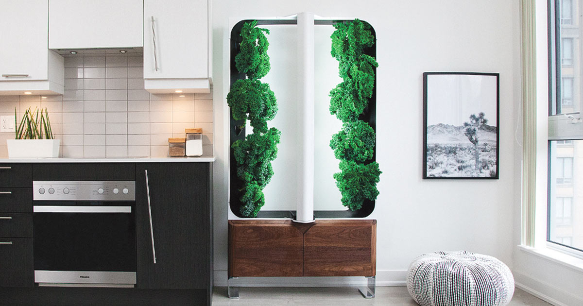 AEVA indoor garden system in a kitchen