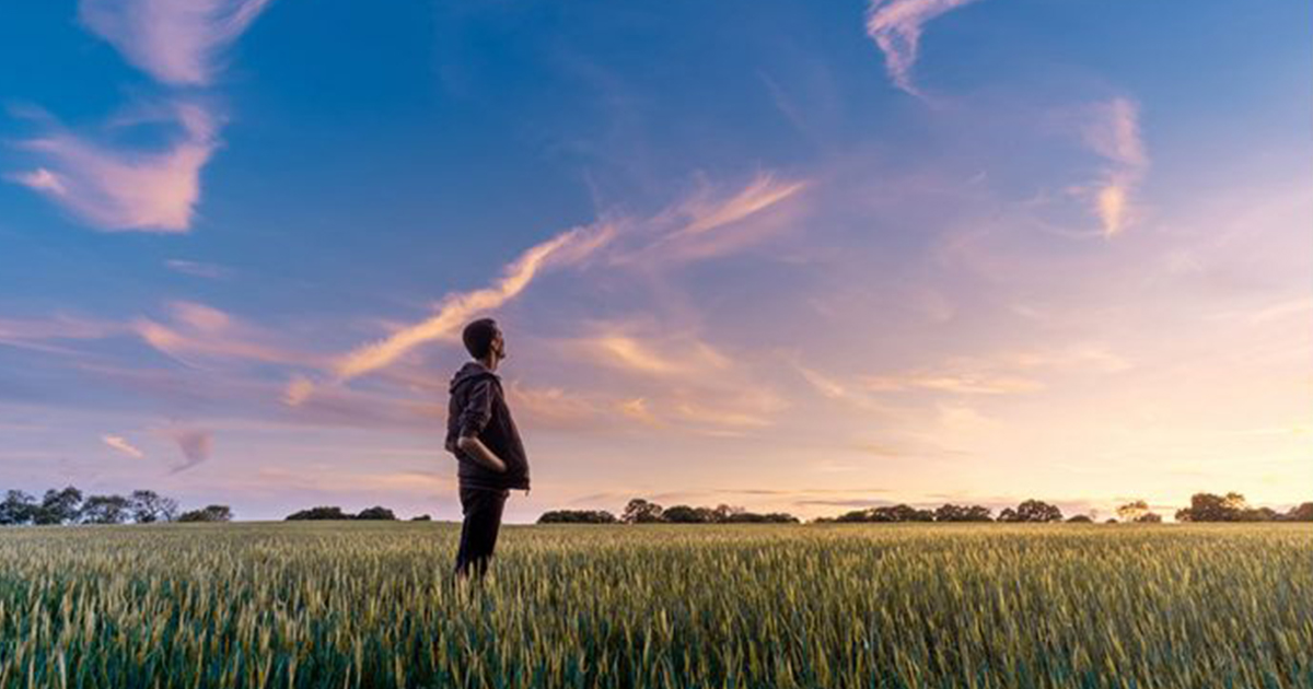Man in a Field Gazing Out at the Sunset beneath a Nearly Cloudless Sky
