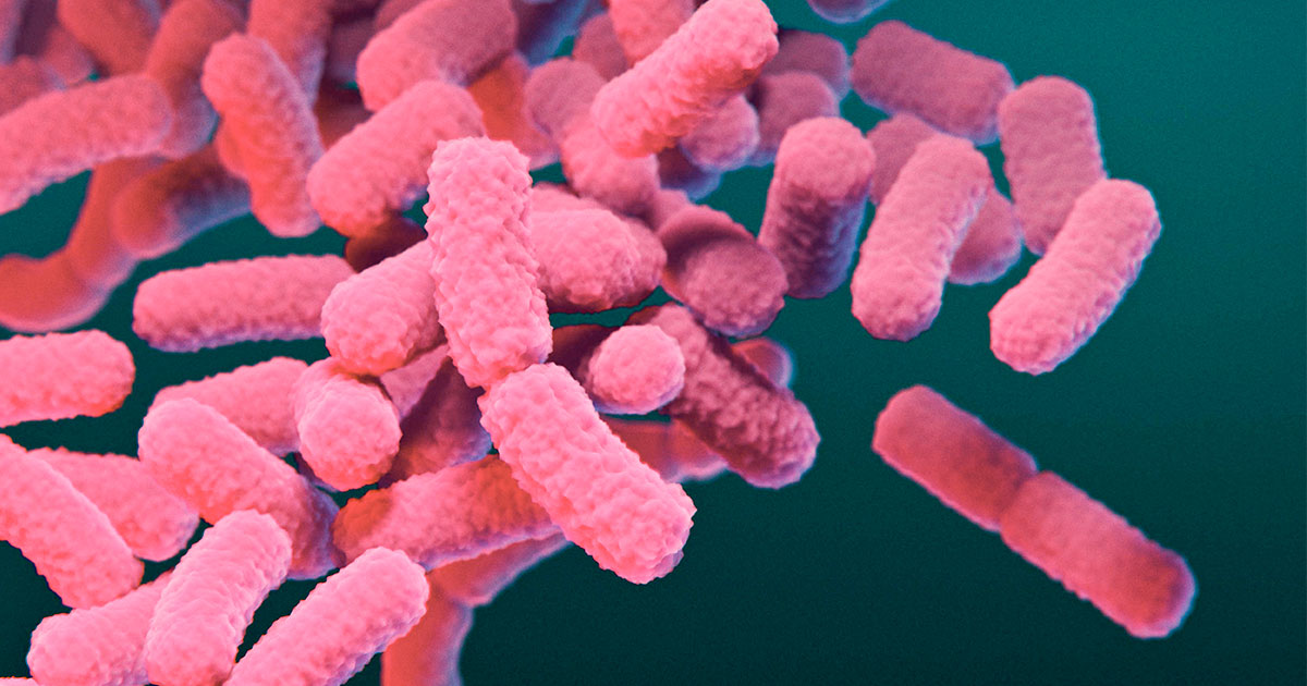 world microbiome day