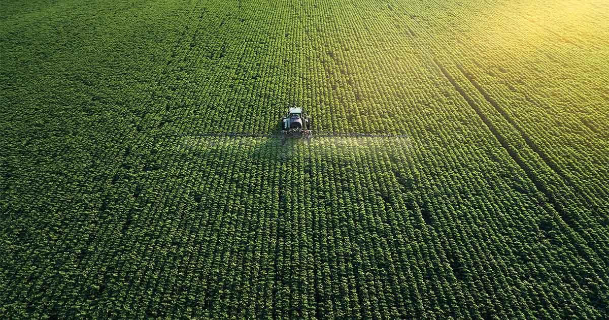 green fields agricultural innovation