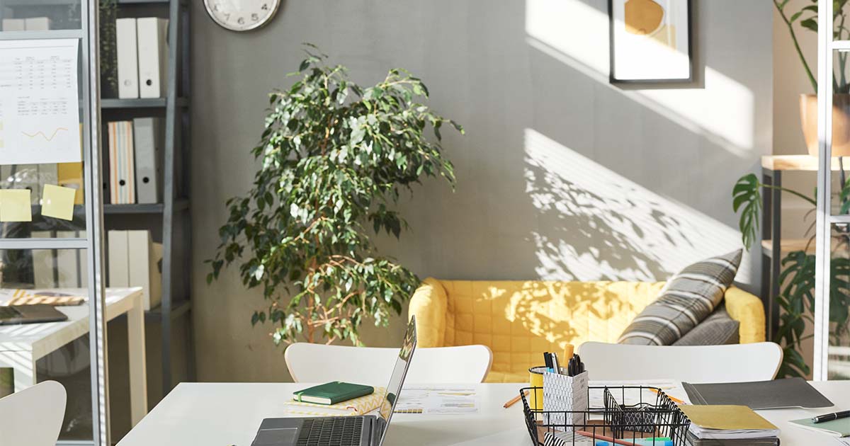 living room space