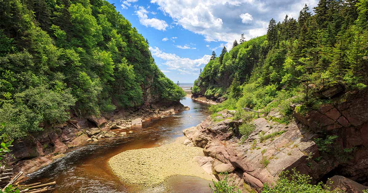 point-wolfe-at-fundy-national-park-new-brunswick