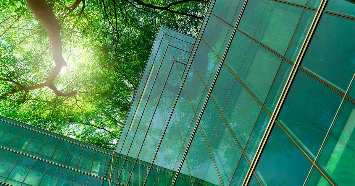 carbon credit market