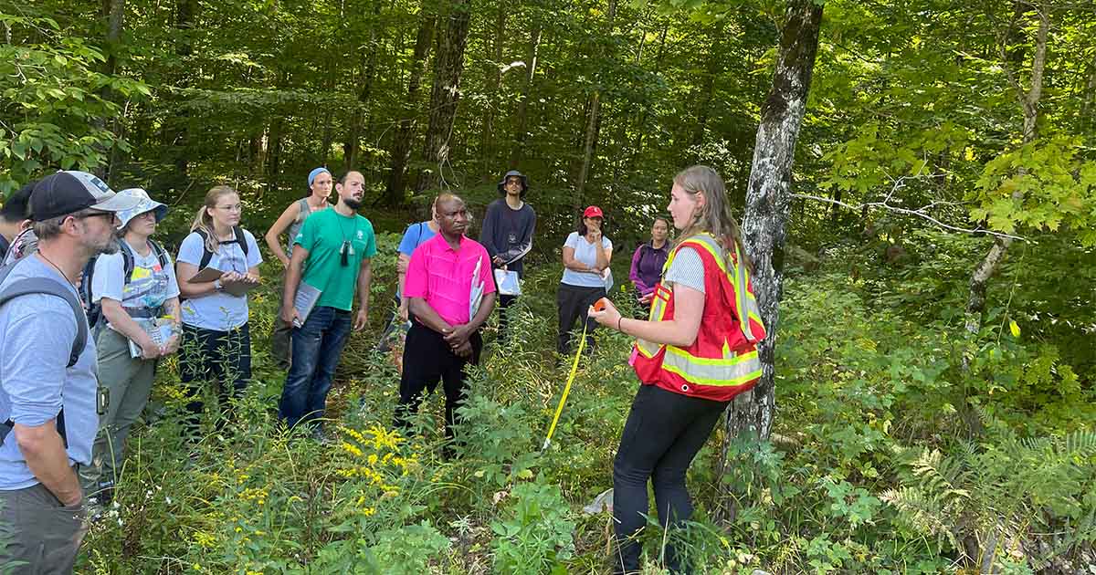 Header image-University of Toronto Forestry