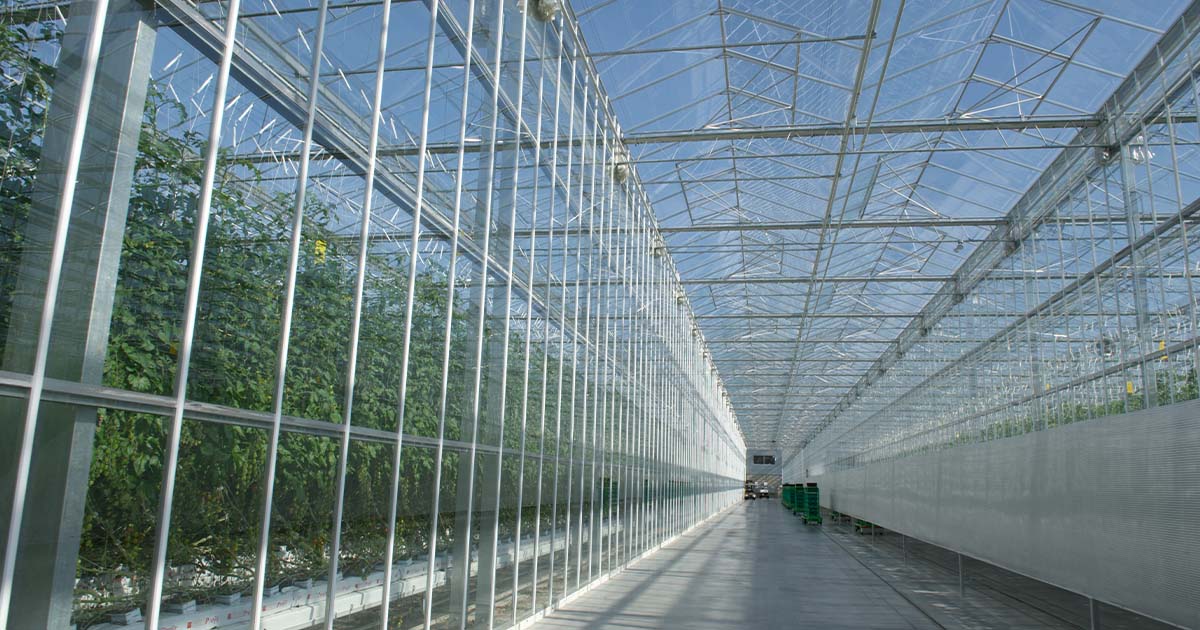 Ontario Greenhouse