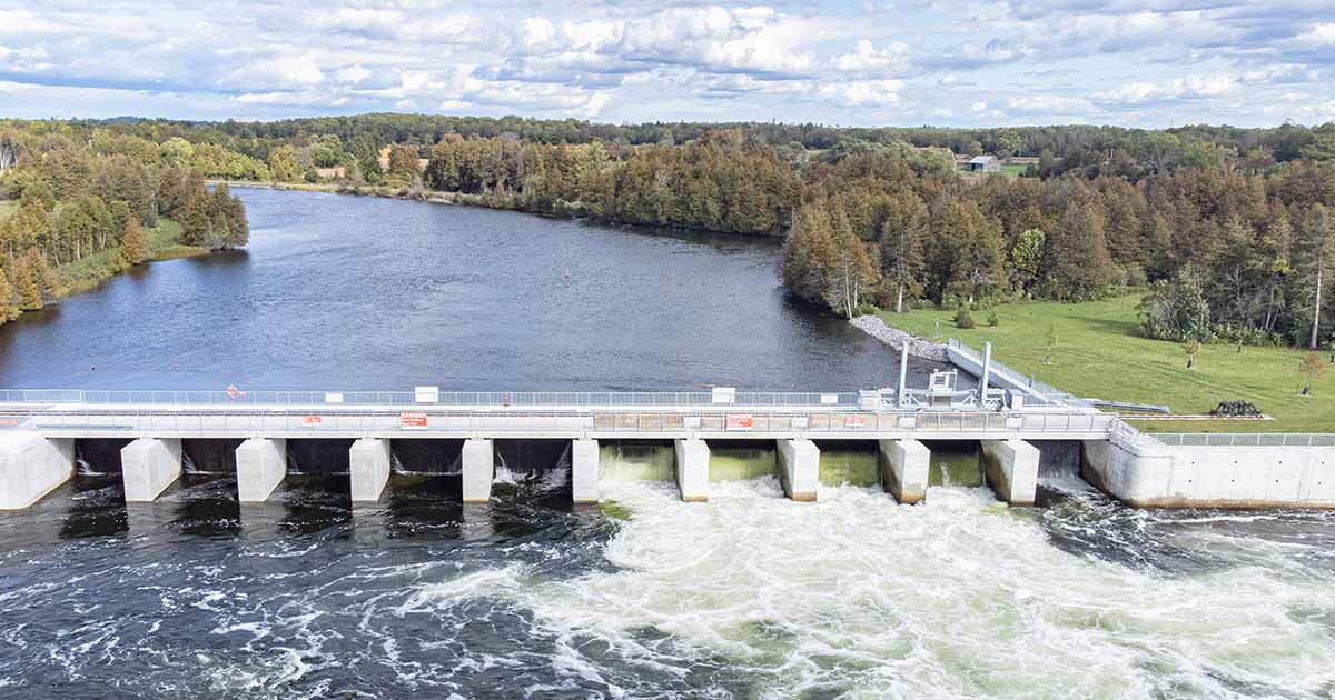 Dam-Maple Reinders