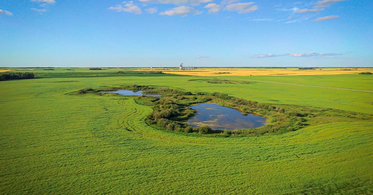 Green field_Soil conservation council of Canada