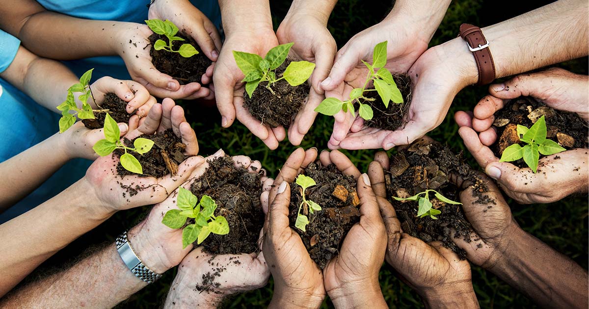 Planting trees_Nature Canada