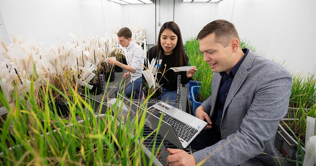 Ian Stavness and students_Global institute for food security
